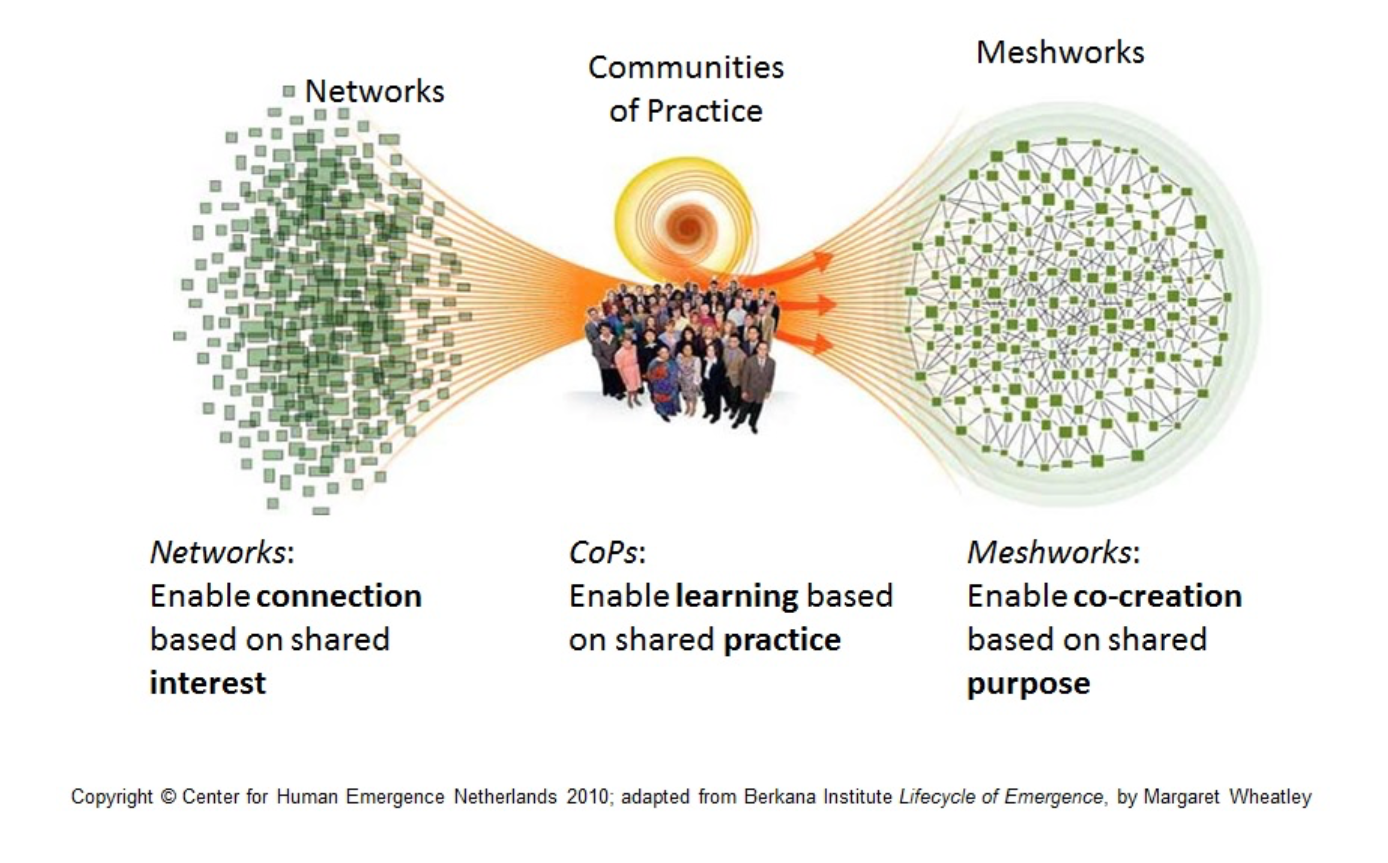 Center For Human Emergence Middle East, An Initiative To Build Human 